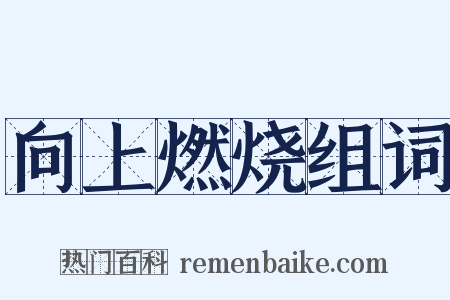 向上燃烧组词是什么意思的图片